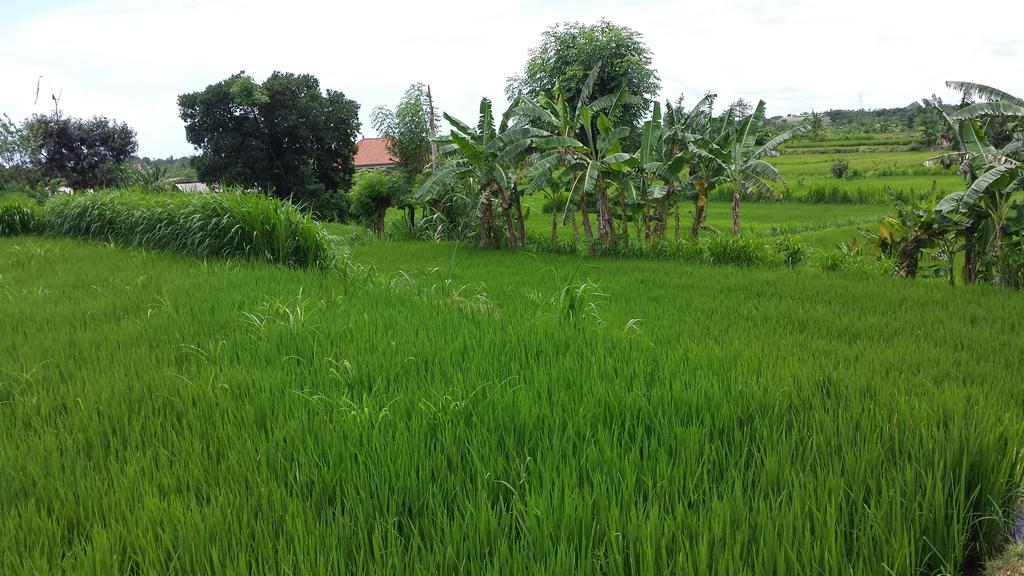 Puri Pondok Dawa Villa Kusamba Luaran gambar